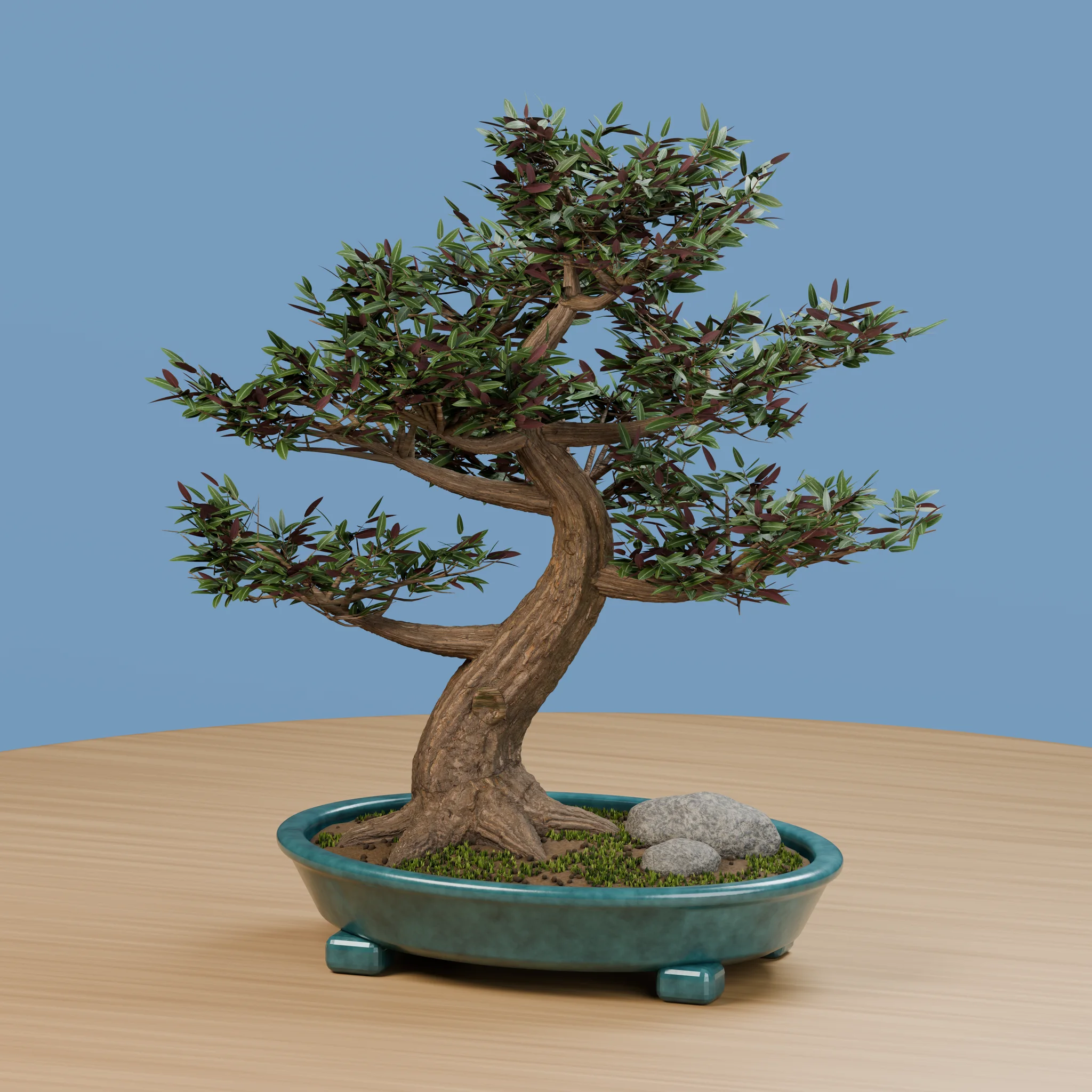 Bonsai render 1, seed 47, soft lighting